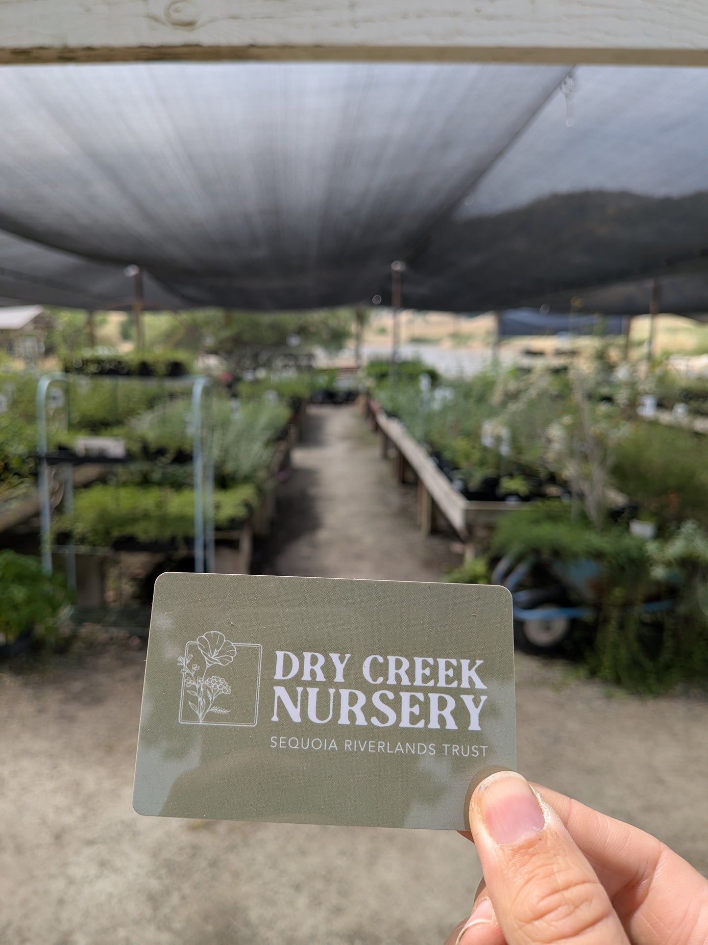 Dry Creek Nursery Gift Card
