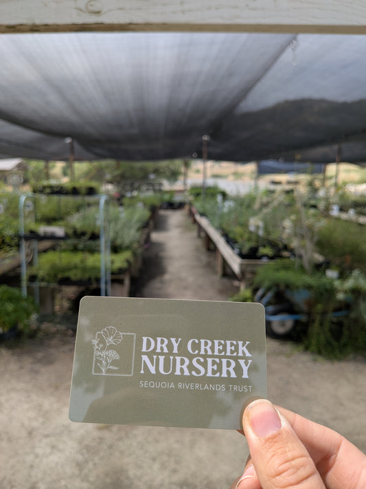 Dry Creek Nursery Gift Card